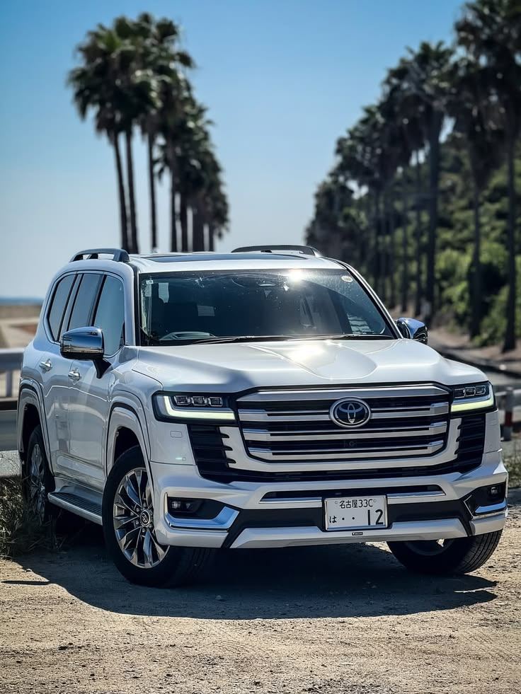 Car rental fleet